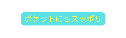 ポケットにもスッポリ